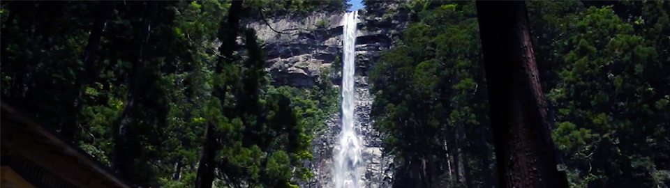 那智大滝の風景 映像「世界遺産 紀伊山地・熊野古道」より クリックすると動画が再生されます。